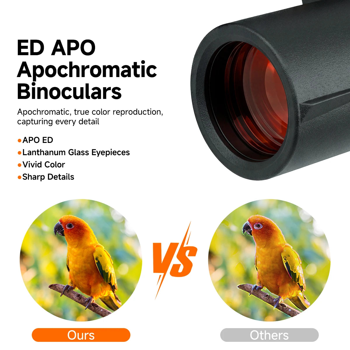 Svbony SA207 ED APO Binoculars 8x32 Wide-angle Flat Field BaK4 Prism FBMC Full-Band IPX7 Waterproof Fogproof for Bird Watching